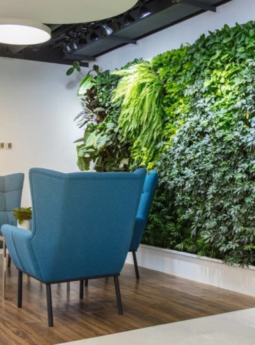 Pourquoi favoriser un immeuble de bureaux végétalisé pour votre investissement en immobilier professionnel ?