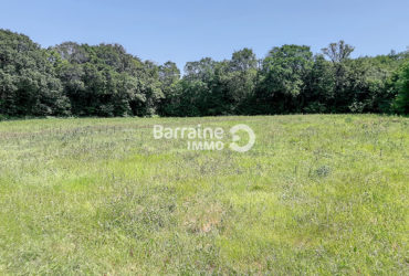 HENNEBONT A VENDRE BEAU TERRAIN AGRICOLE DE 9040 m2