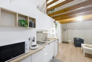 LOCATION BREST PETIT KERZU APPARTEMENT T2 DUPLEX MEUBLE BELLES PRESTATIONS