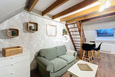 LOCATION BREST PETIT KERZU APPARTEMENT T2 DUPLEX MEUBLE BELLES PRESTATIONS