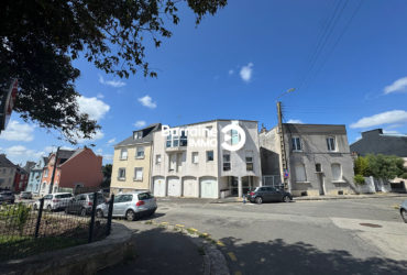 A VENDRE PROCHE FACS DE MEDECINE CENTRE VILLE APPARTEMENT T1 STUDIO DERNIER ETAGE VUE DEGAGEE